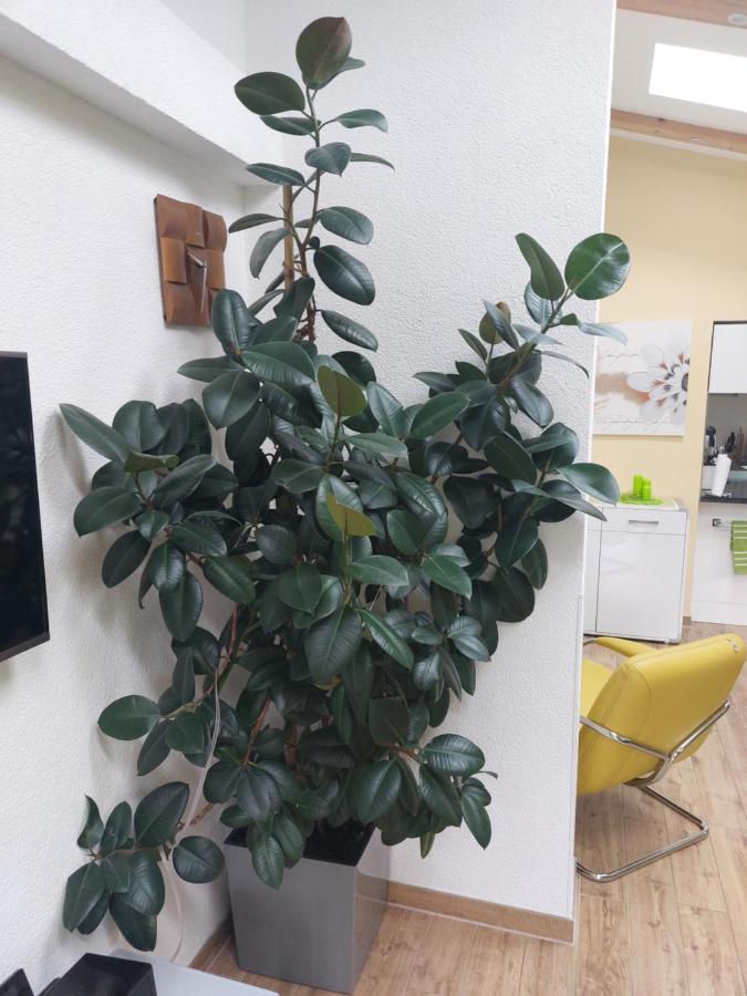 Ferienhaus In Bernau Bei Berlin Esterno foto